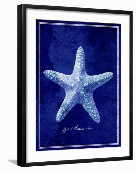 Starfish-GI ArtLab-Framed Giclee Print