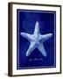 Starfish-GI ArtLab-Framed Giclee Print