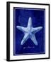 Starfish-GI ArtLab-Framed Giclee Print