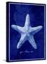 Starfish-GI ArtLab-Stretched Canvas