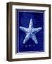 Starfish-GI ArtLab-Framed Premium Giclee Print