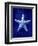 Starfish-GI ArtLab-Framed Premium Giclee Print