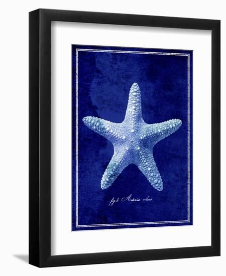 Starfish-GI ArtLab-Framed Premium Giclee Print