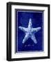 Starfish-GI ArtLab-Framed Premium Giclee Print