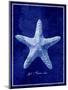 Starfish-GI ArtLab-Mounted Premium Giclee Print