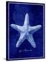 Starfish-GI ArtLab-Stretched Canvas