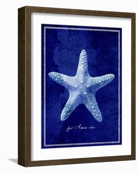 Starfish-GI ArtLab-Framed Giclee Print