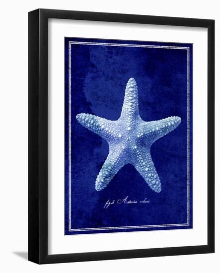 Starfish-GI ArtLab-Framed Giclee Print