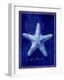 Starfish-GI ArtLab-Framed Giclee Print