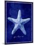 Starfish-GI ArtLab-Mounted Giclee Print