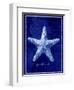 Starfish-GI ArtLab-Framed Giclee Print