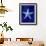 Starfish-GI ArtLab-Framed Giclee Print displayed on a wall