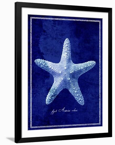 Starfish-GI ArtLab-Framed Giclee Print