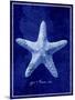 Starfish-GI ArtLab-Mounted Giclee Print
