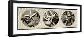 Starfish-Alan Hausenflock-Framed Premium Photographic Print