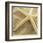 Starfish-Lisa Hill Saghini-Framed Art Print