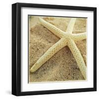 Starfish-Lisa Hill Saghini-Framed Art Print