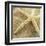 Starfish-Lisa Hill Saghini-Framed Art Print