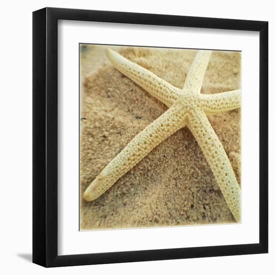 Starfish-Lisa Hill Saghini-Framed Art Print