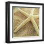 Starfish-Lisa Hill Saghini-Framed Art Print