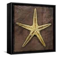 Starfish-John W Golden-Framed Stretched Canvas