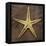 Starfish-John W Golden-Framed Stretched Canvas