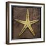 Starfish-John W Golden-Framed Premium Giclee Print