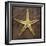 Starfish-John W Golden-Framed Premium Giclee Print