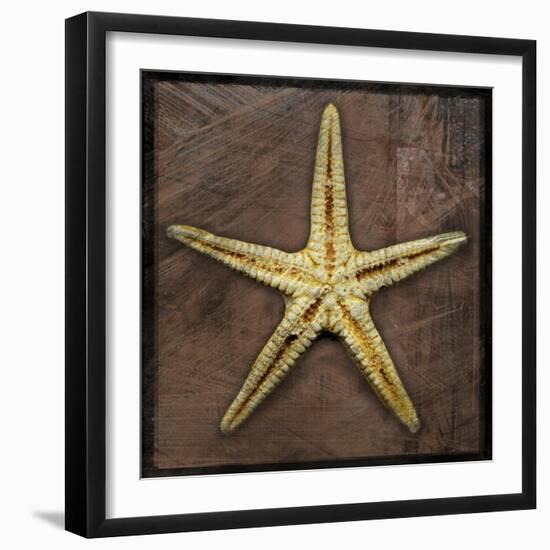 Starfish-John W Golden-Framed Premium Giclee Print