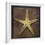 Starfish-John W Golden-Framed Premium Giclee Print