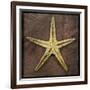 Starfish-John W Golden-Framed Giclee Print