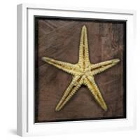 Starfish-John W Golden-Framed Giclee Print