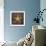 Starfish-John W Golden-Framed Giclee Print displayed on a wall