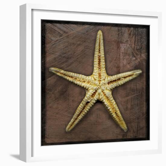 Starfish-John W Golden-Framed Giclee Print