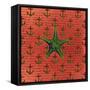 StarFIsh-Tom Kelly-Framed Stretched Canvas