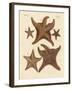 Starfish-null-Framed Giclee Print