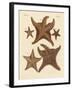 Starfish-null-Framed Giclee Print