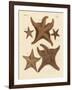 Starfish-null-Framed Giclee Print