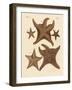 Starfish-null-Framed Giclee Print