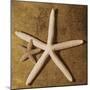 Starfish-Caroline Kelly-Mounted Photo