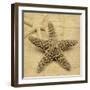 Starfish-John Seba-Framed Photo