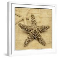 Starfish-John Seba-Framed Photo