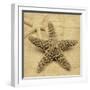 Starfish-John Seba-Framed Photo