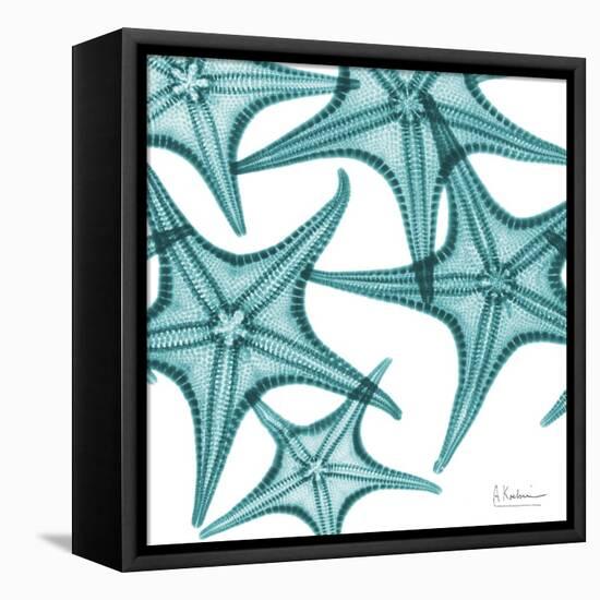 Starfishes-Albert Koetsier-Framed Stretched Canvas