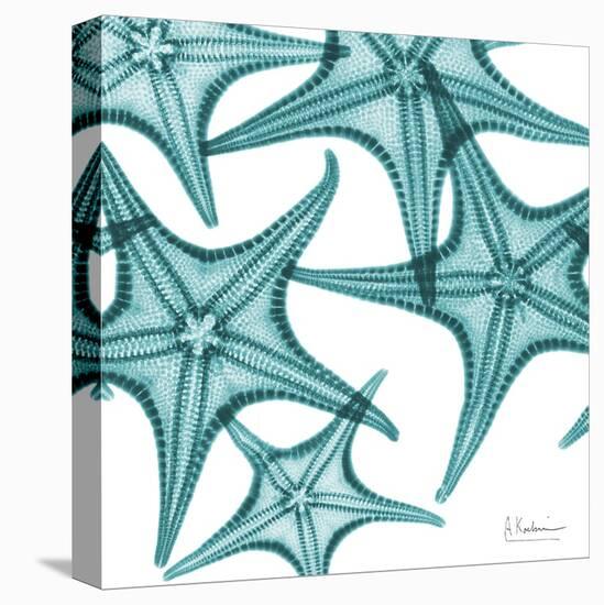 Starfishes-Albert Koetsier-Stretched Canvas