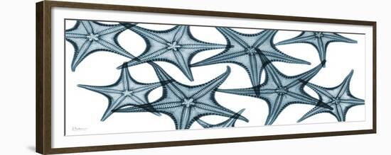 Starfishes-Albert Koetsier-Framed Premium Giclee Print