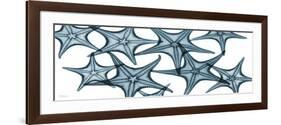 Starfishes-Albert Koetsier-Framed Art Print