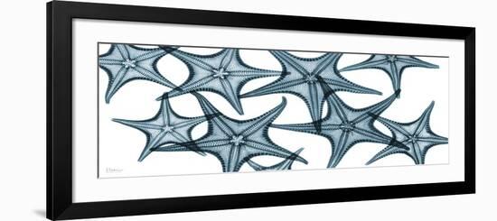 Starfishes-Albert Koetsier-Framed Art Print