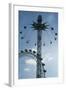 Starflyer-Charles Bowman-Framed Photographic Print