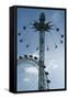 Starflyer-Charles Bowman-Framed Stretched Canvas